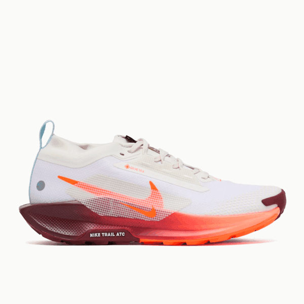 Nike Pegasus Trail 5 Gore-Tex
