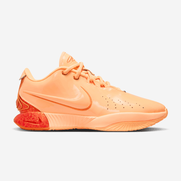 Nike LeBron XXI
